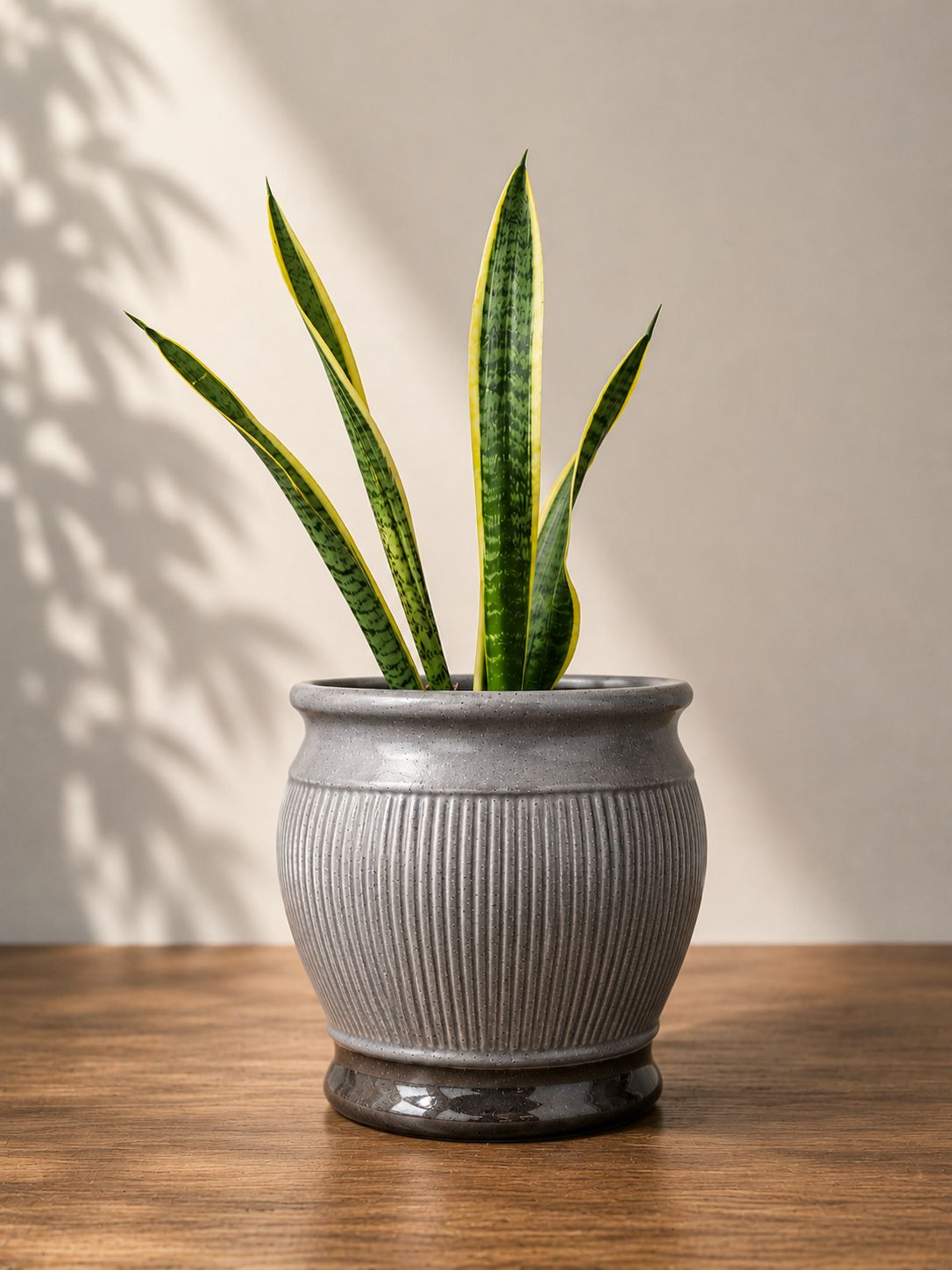 Ashford Ribbed Planter