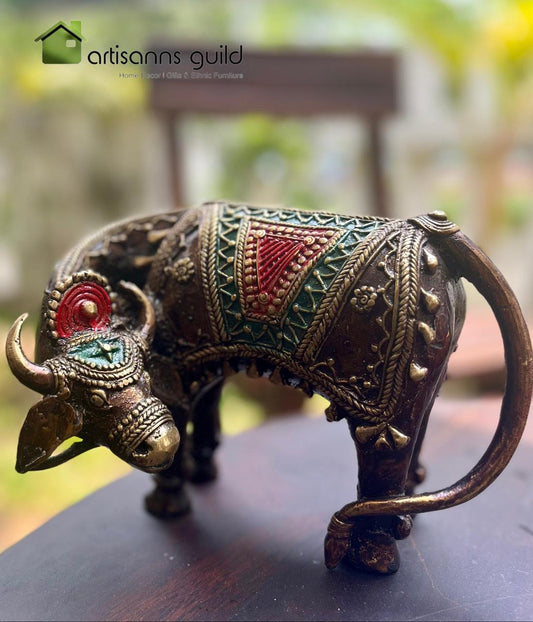Nandi Cow Coloured