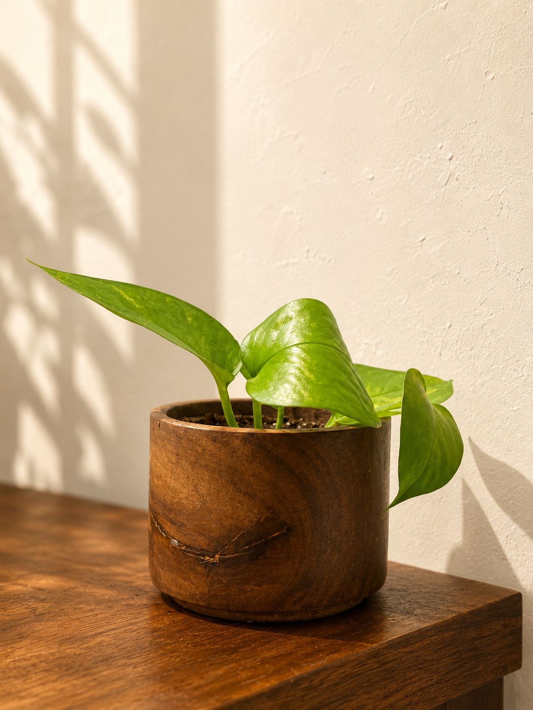 Graphite Minimal Cylinder Pot