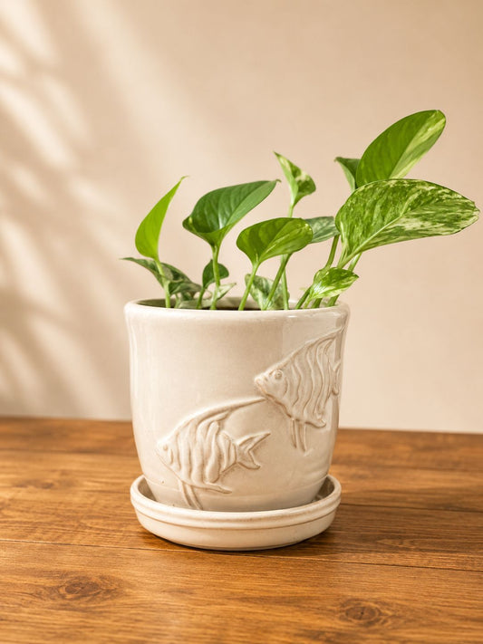 Ivory Angelfish Planter