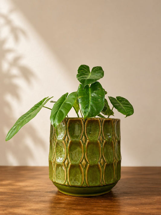 Olive Mosaic Planter
