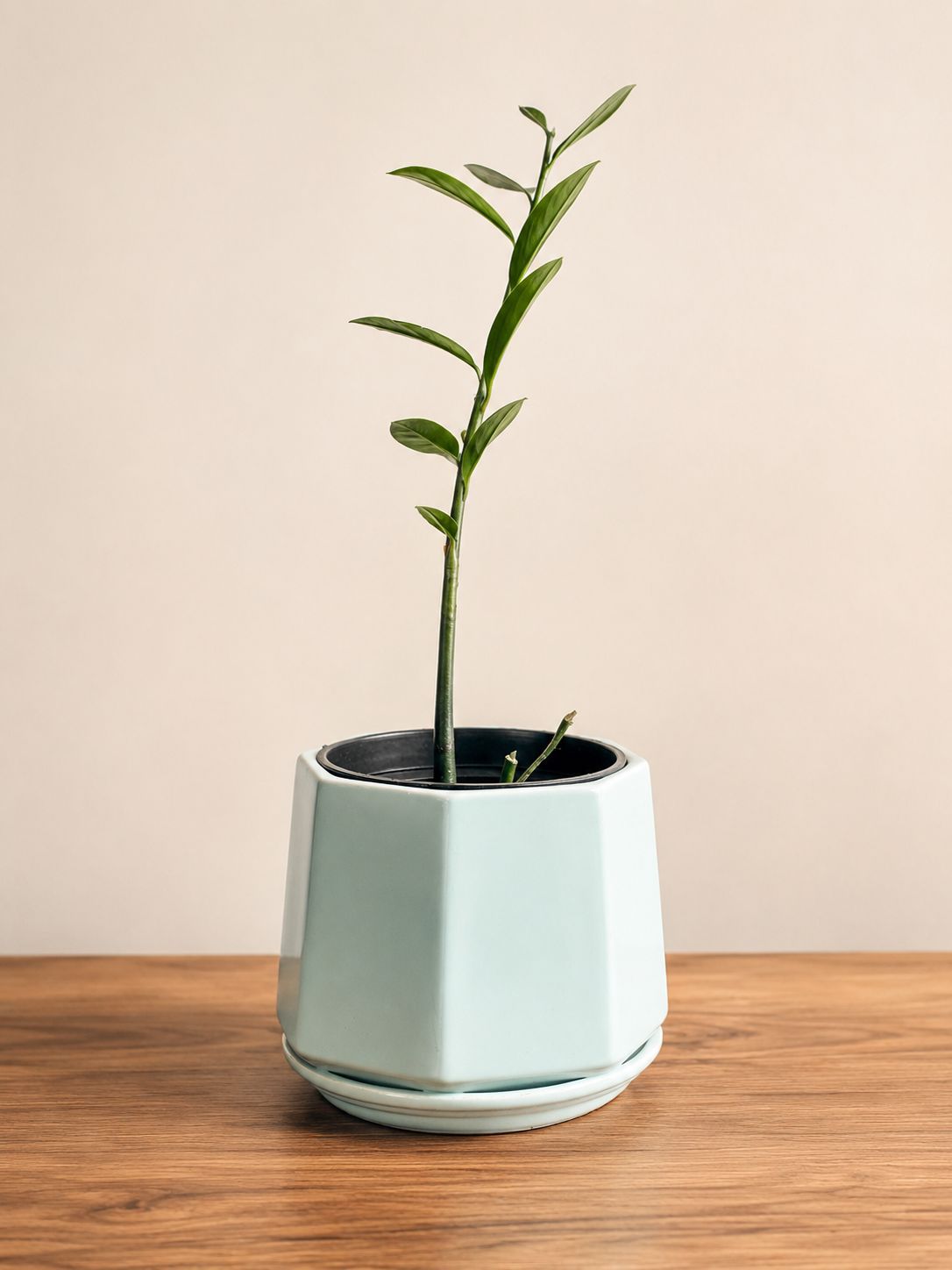 Nordic Facet Ceramic Planter
