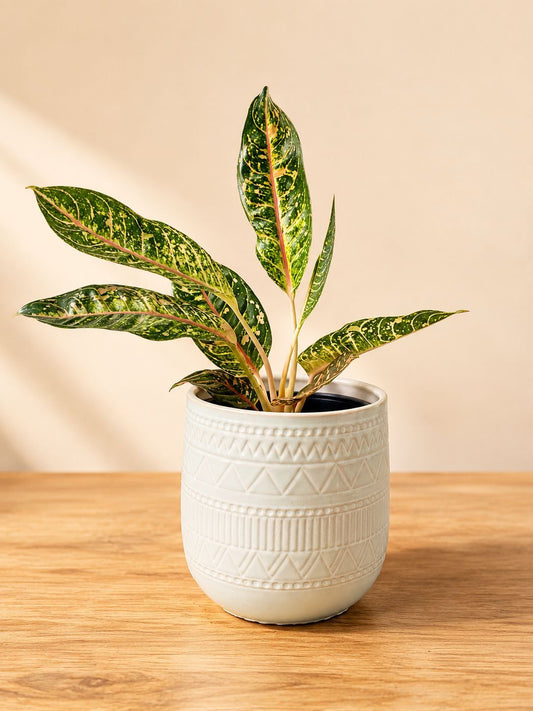 Heritage Ivory Embossed Planter