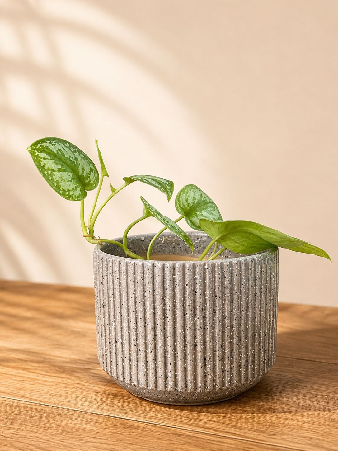 Granite Ribbed Planter (Big)