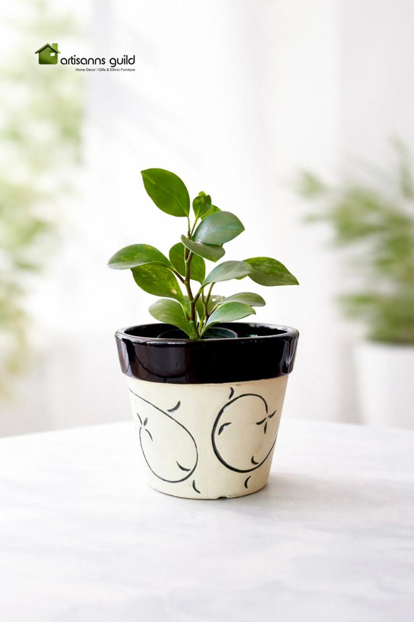Ivory Wine Ceramic Pot