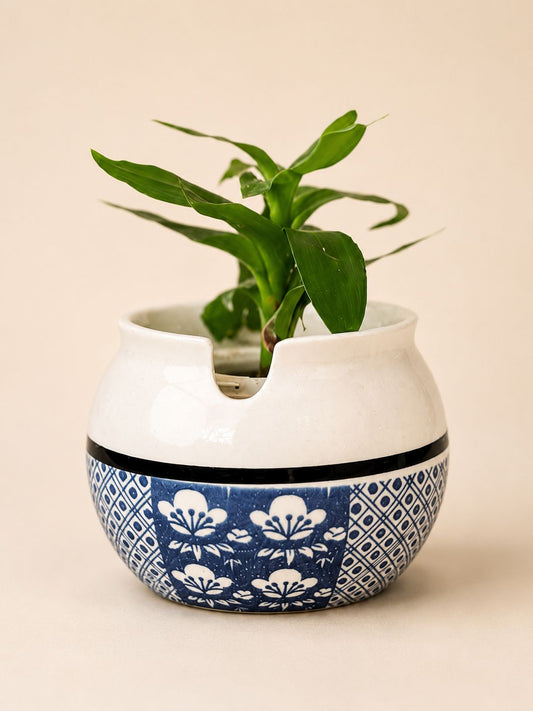 Azure Blossom Bowl Planter
