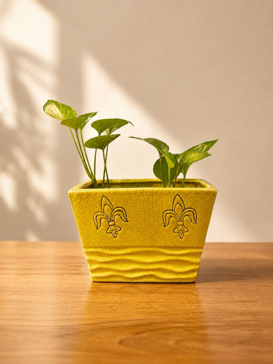 Golden fleur Window Planter