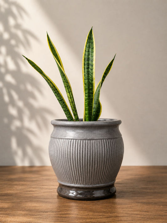 Ashford Ribbed Planter
