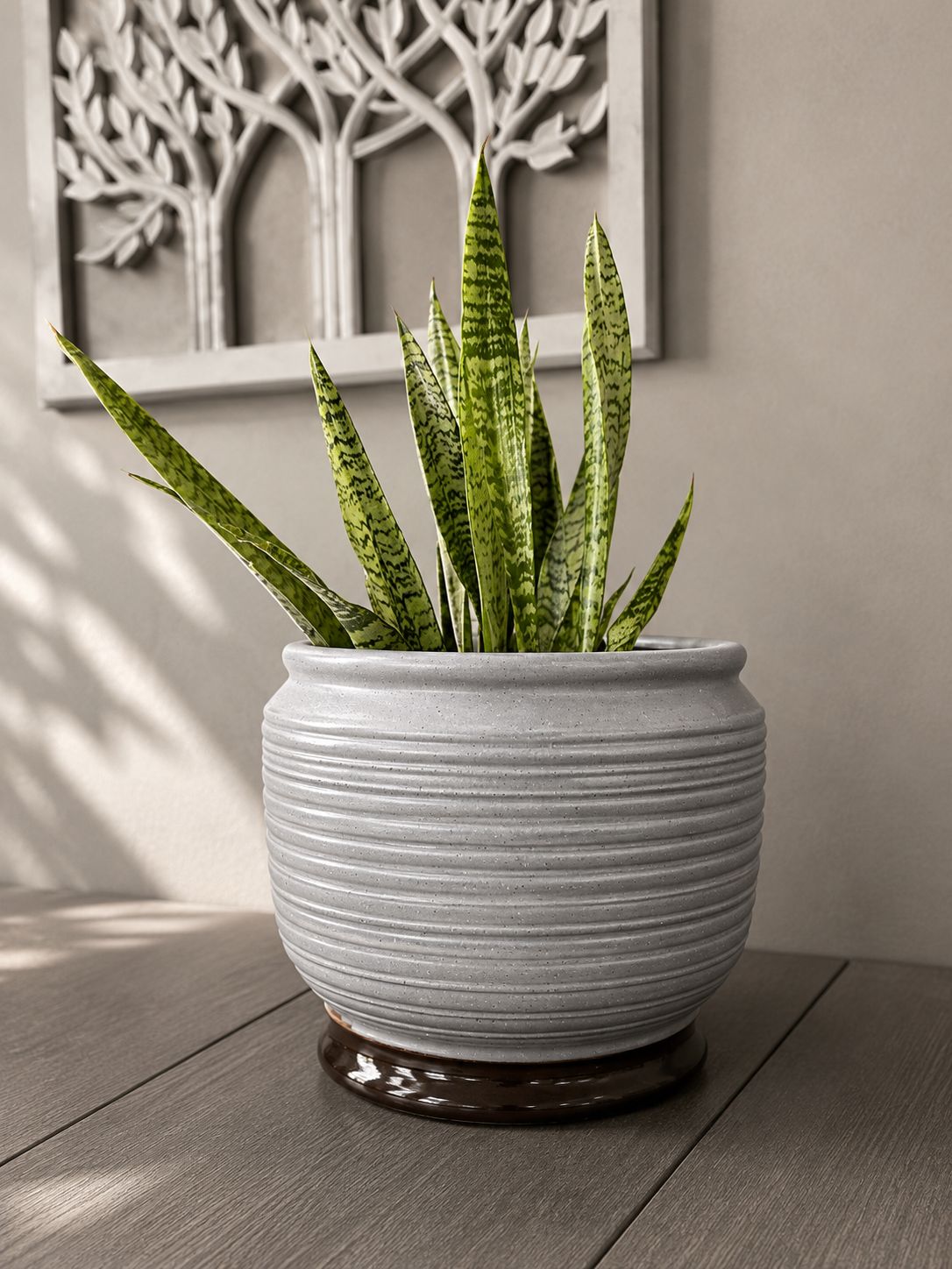 Silver Ridge Planter