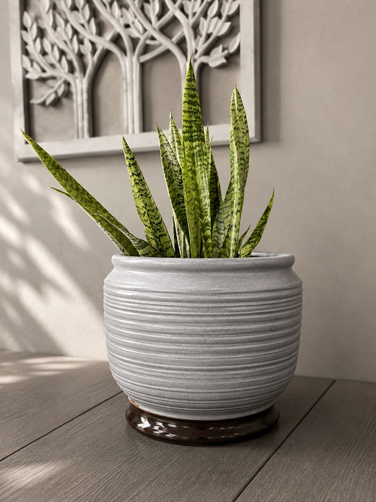 Silver Ridge Planter