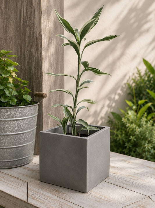 Graphite Cube Planter