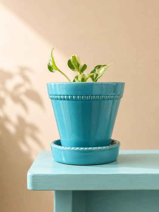 Azure Ceramic planter Pot