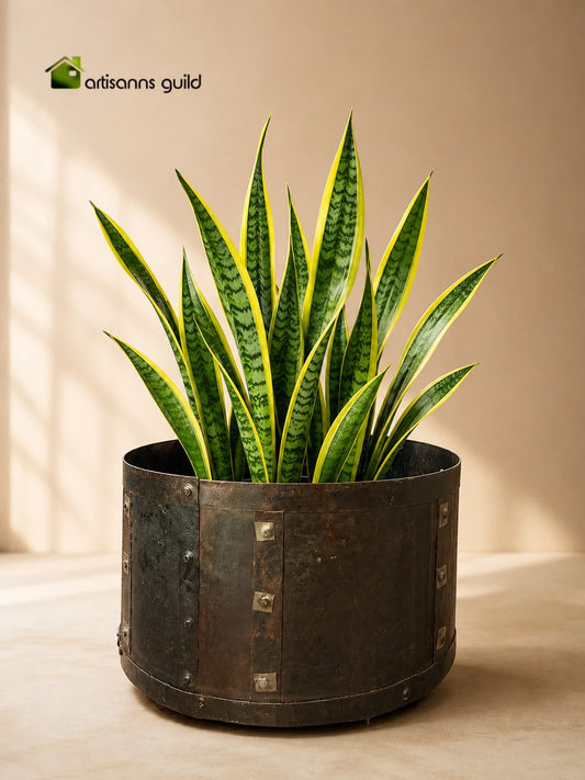 Forge Planter